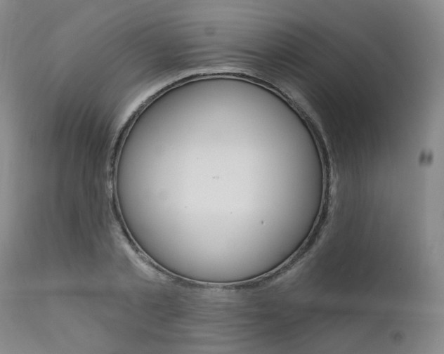 X0000111620789200907171103