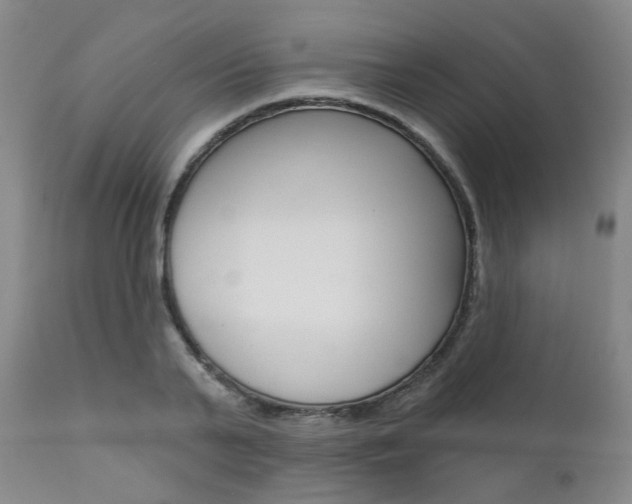 X0000111620791200907171103