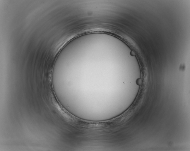 X0000111620793200907171103
