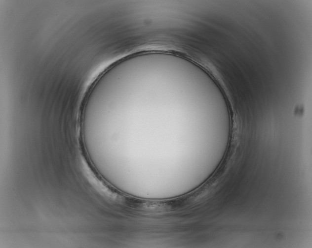 X0000111620795200907171103