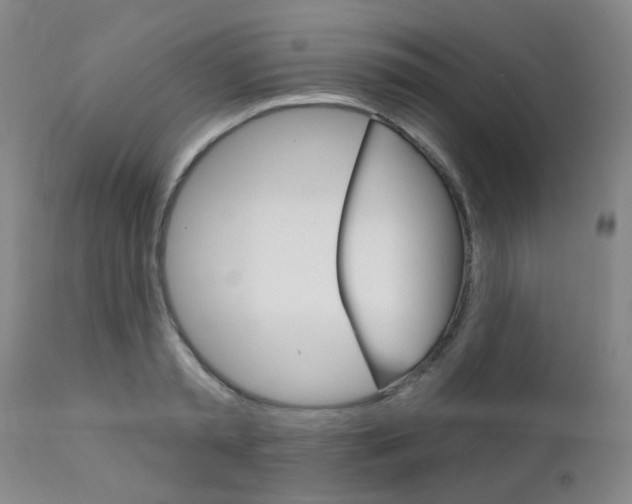 X0000111620797200907171103