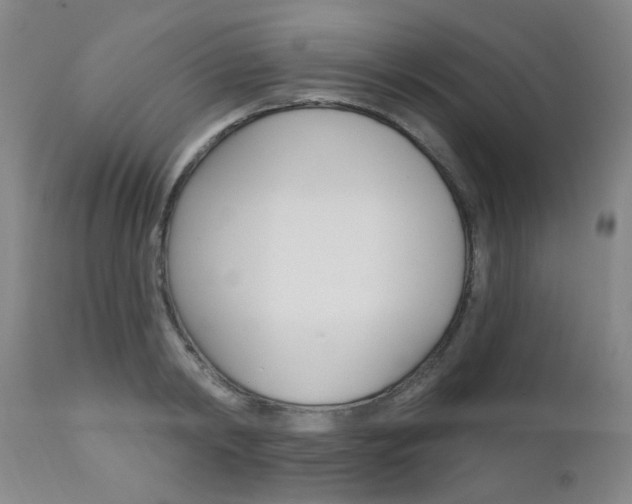 X0000111620798200907171103