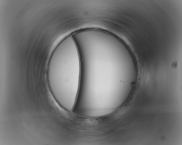 X0000111620799200907171103