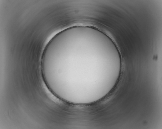X0000111620803200907171103