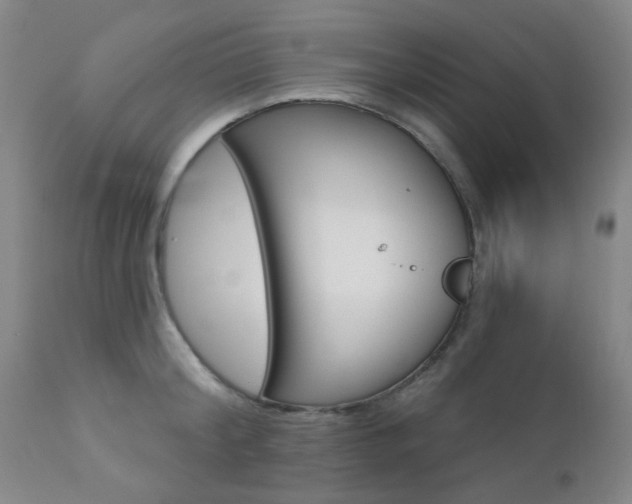 X0000111620804200907171103