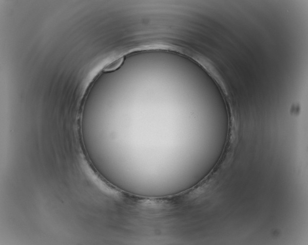 X0000111620805200907171103