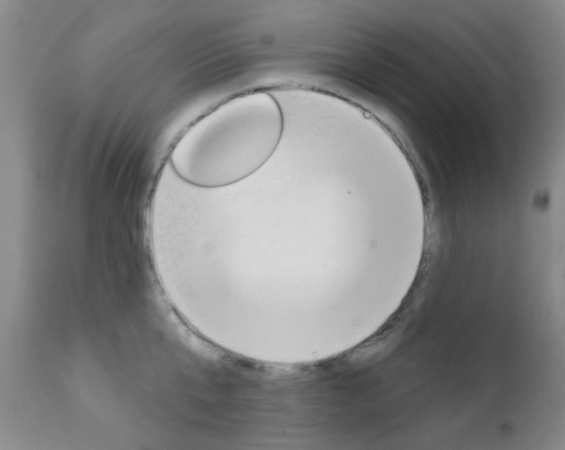 X0000111620807200907171103