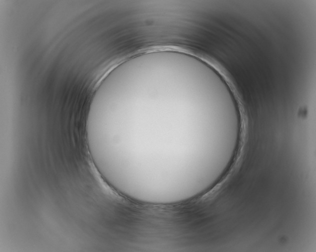 X0000111620809200907171103