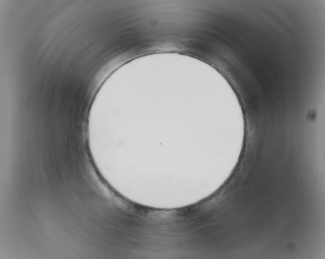 X0000111620810200907171103