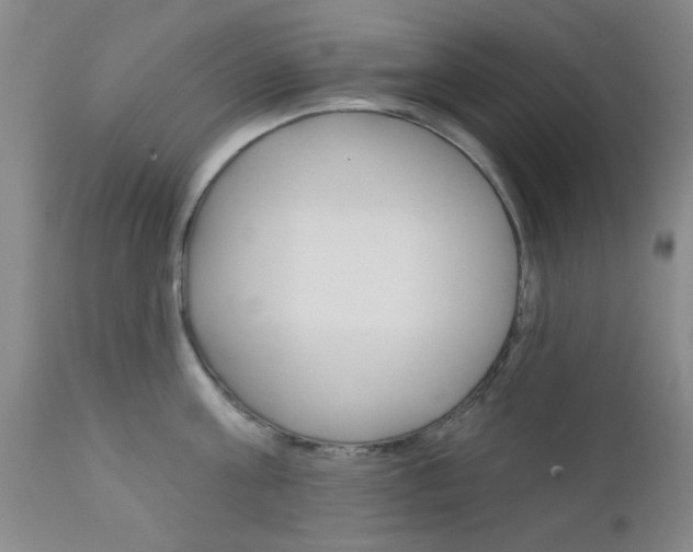 X0000111620811200907171103