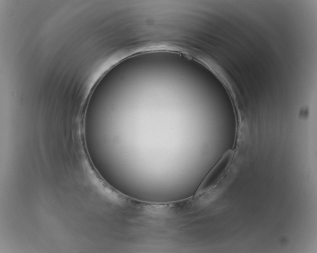 X0000111620813200907171103