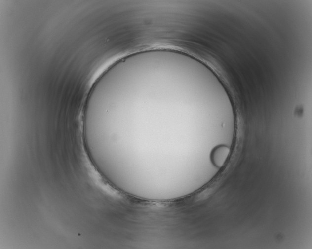 X0000111620814200907171103