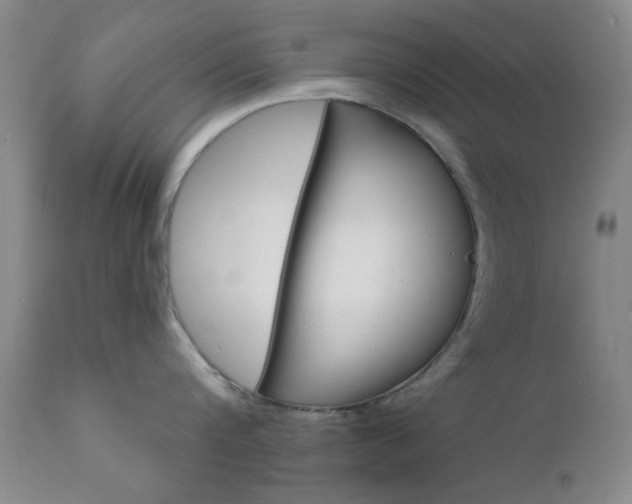 X0000111620816200907171103
