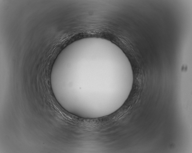 X0000111620817200907171102