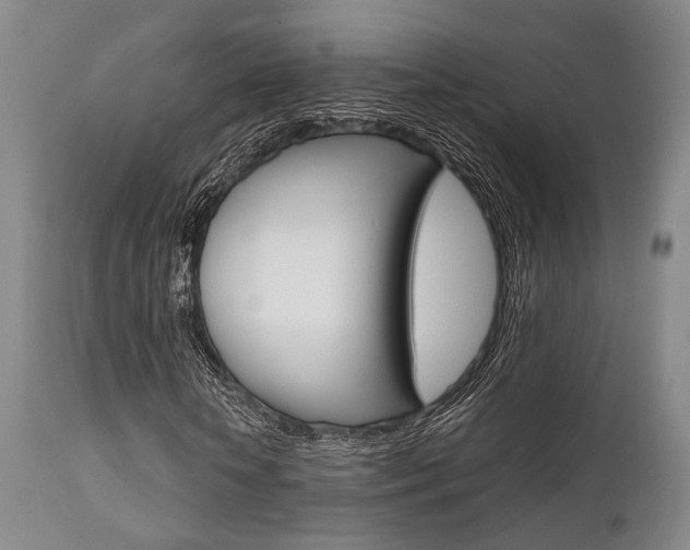 X0000111620818200907171102