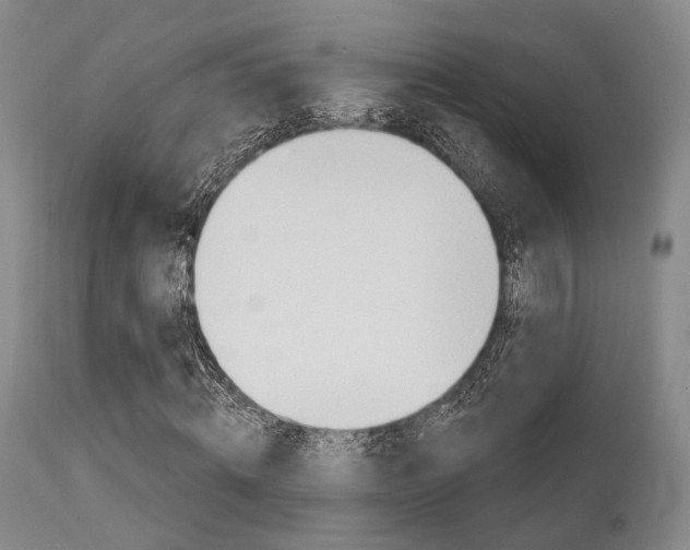 X0000111620820200907171102