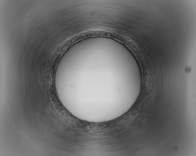 X0000111620821200907171102