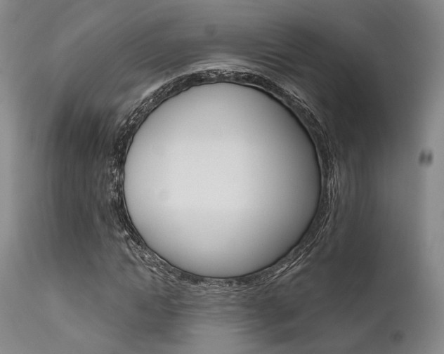 X0000111620822200907171102