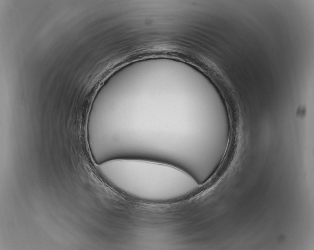X0000111620825200907171103