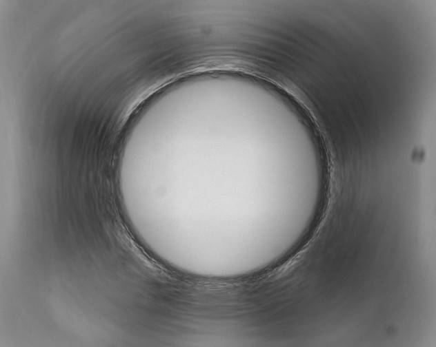 X0000111620826200907171103