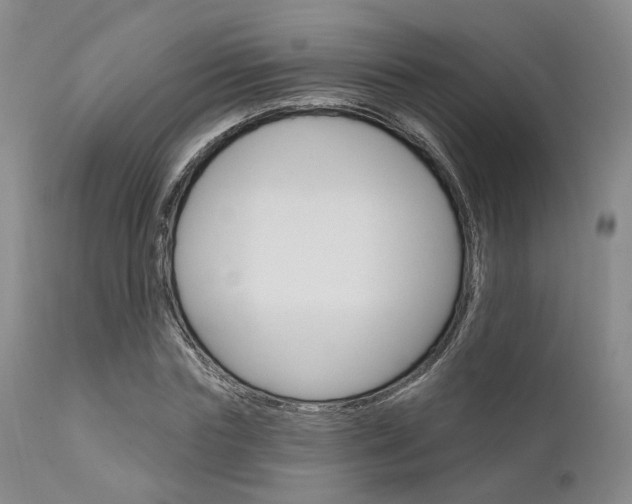 X0000111620827200907171103
