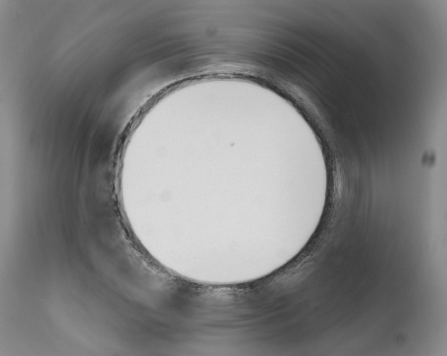 X0000111620828200907171103