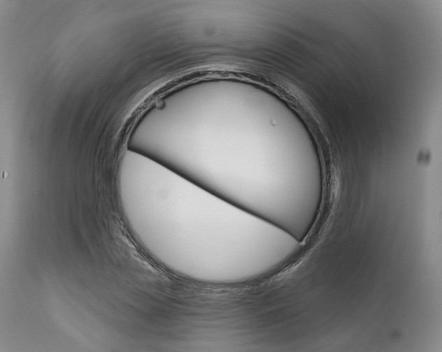 X0000111620829200907171103