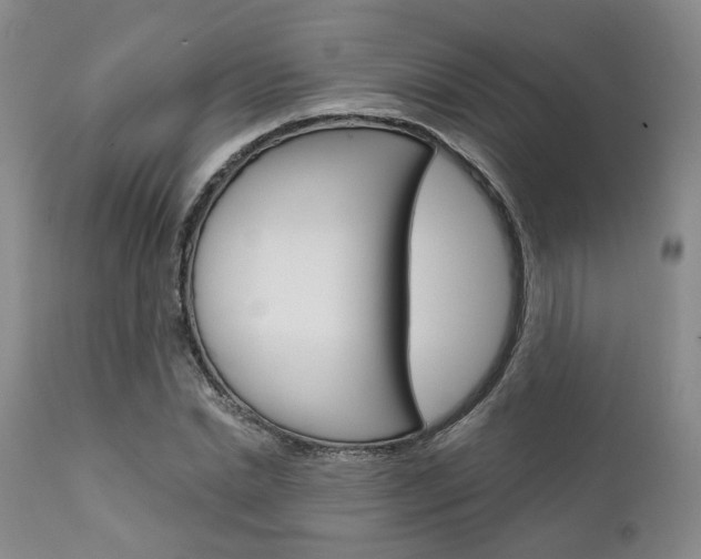 X0000111620830200907171103