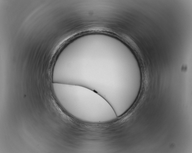 X0000111620831200907171103