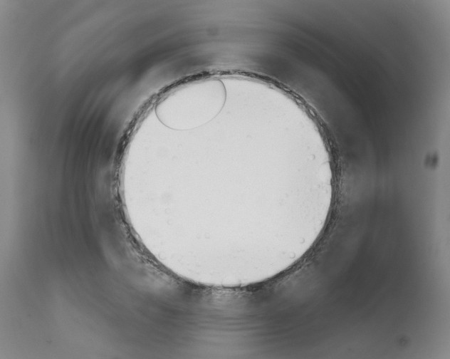 X0000111620832200907171103