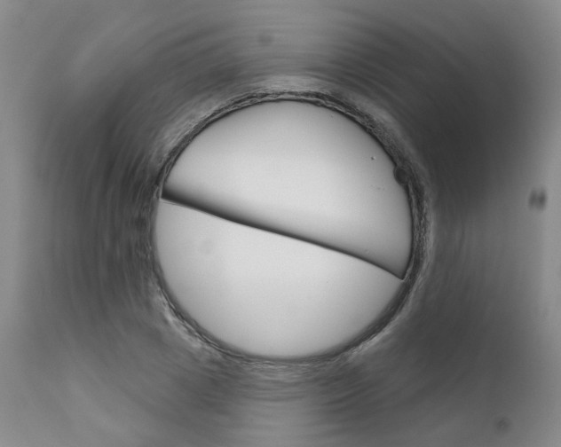 X0000111620833200907171103