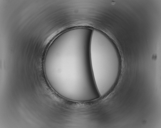 X0000111620834200907171103