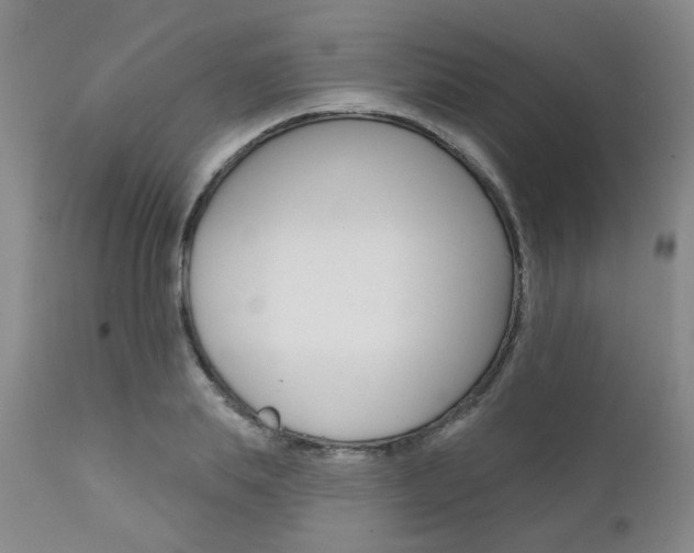 X0000111620839200907171103