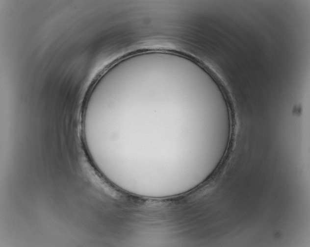 X0000111620840200907171103