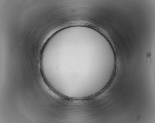 X0000111620843200907171103