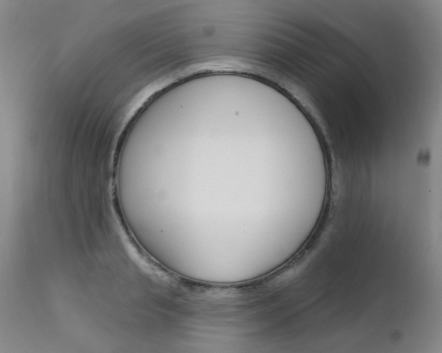 X0000111620845200907171103