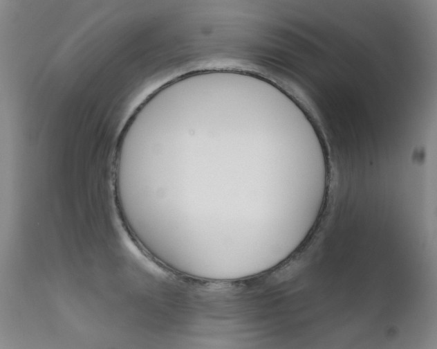 X0000111620847200907171103