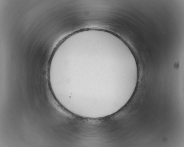 X0000111620848200907171103