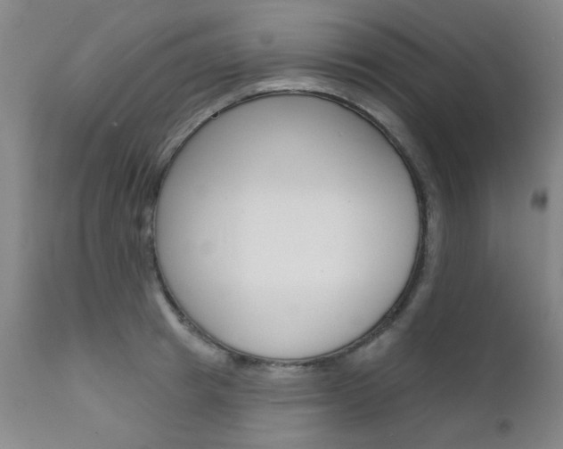 X0000111620849200907171103