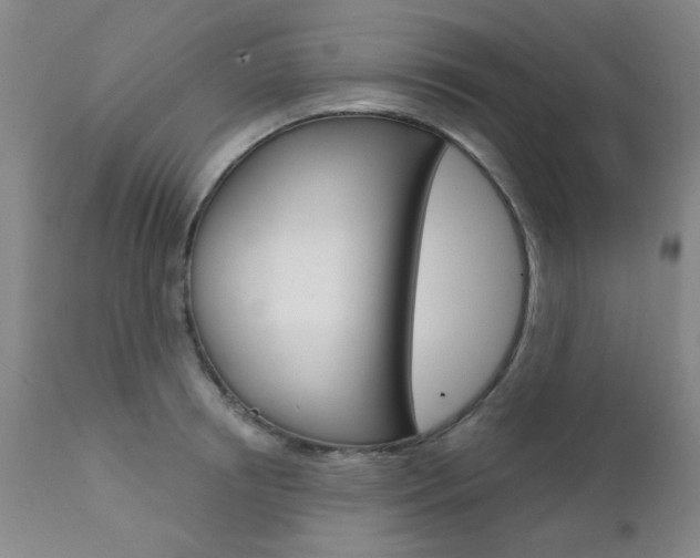 X0000111620850200907171103