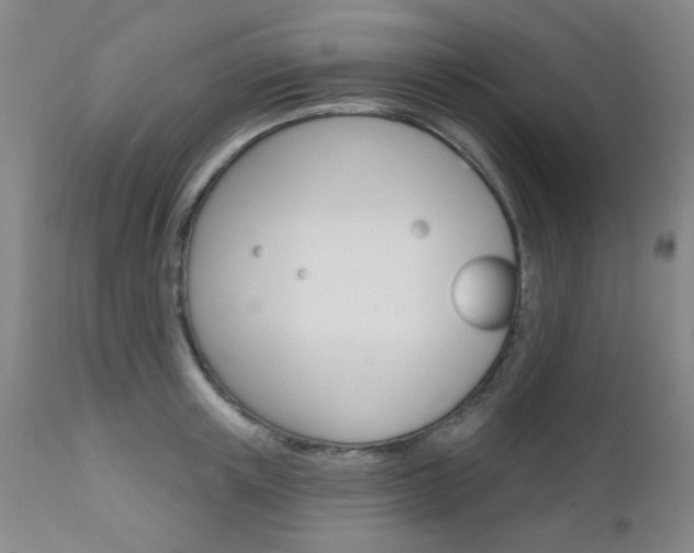 X0000111620851200907171103
