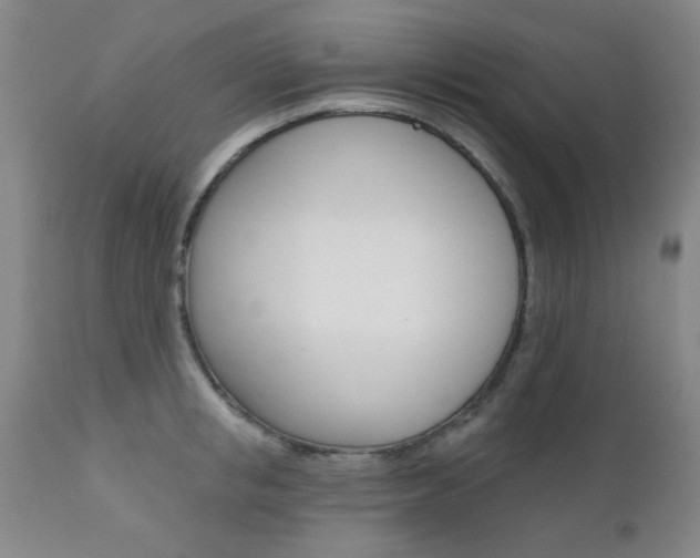 X0000111620853200907171103