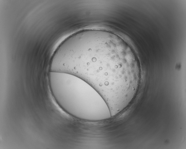 X0000111620855200907171103