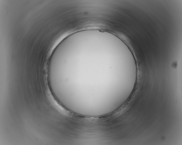 X0000111620859200907171103