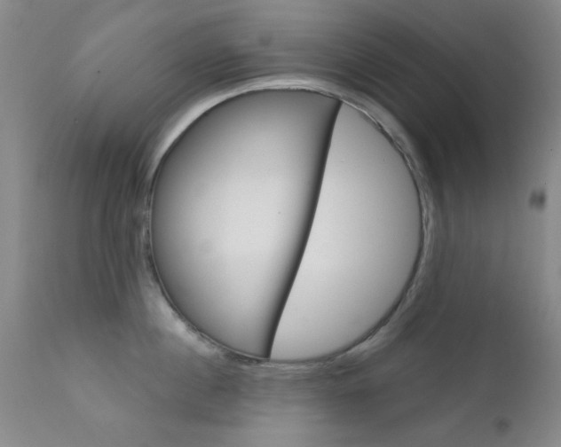 X0000111620860200907171103