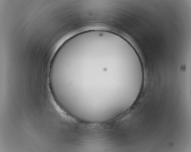 X0000111620861200907171103