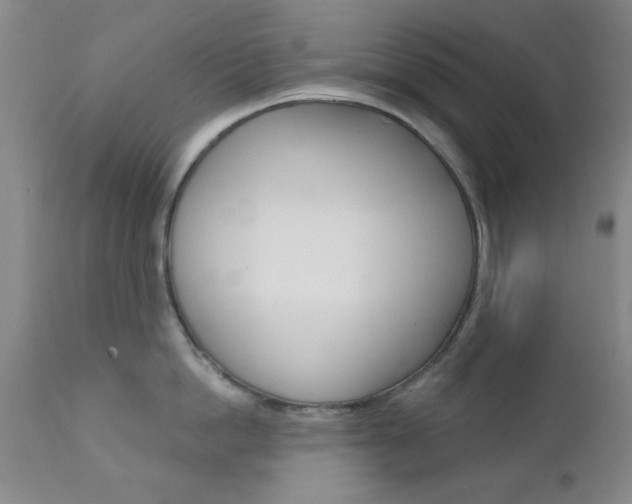 X0000111620862200907171103