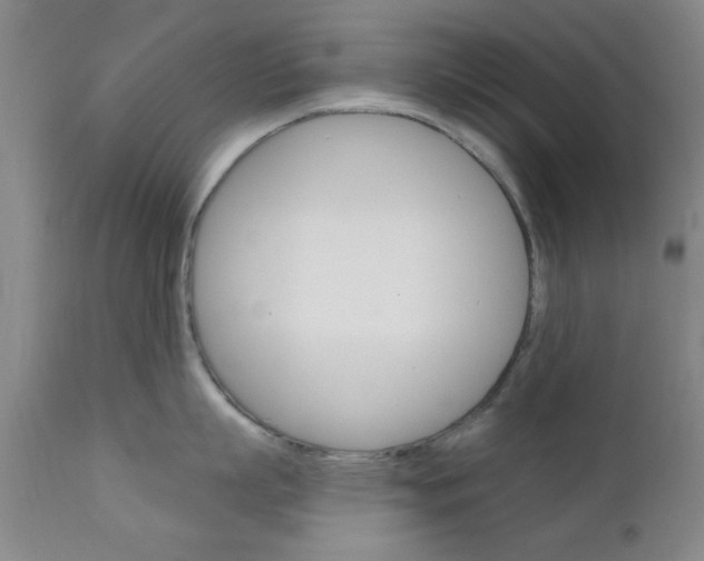 X0000111620863200907171103