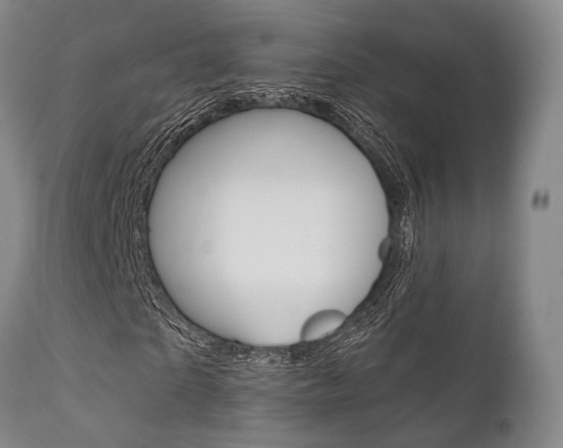 X0000111620865200907171102
