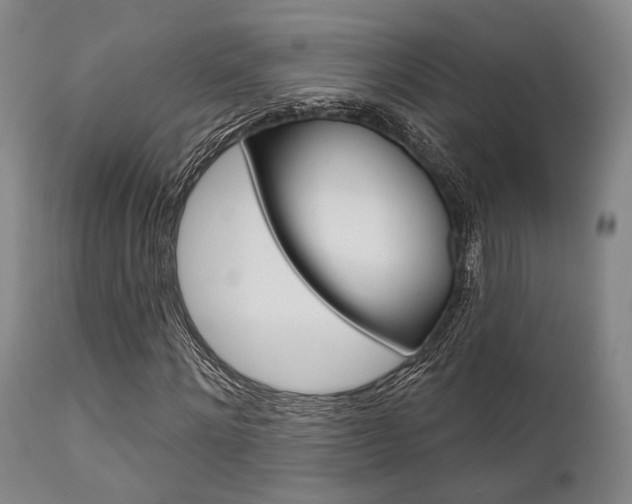X0000111620868200907171102